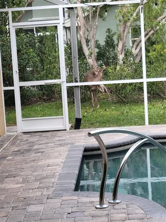 $939,900 | 5216 Kernwood Court, Palm Harbor, FL 34685