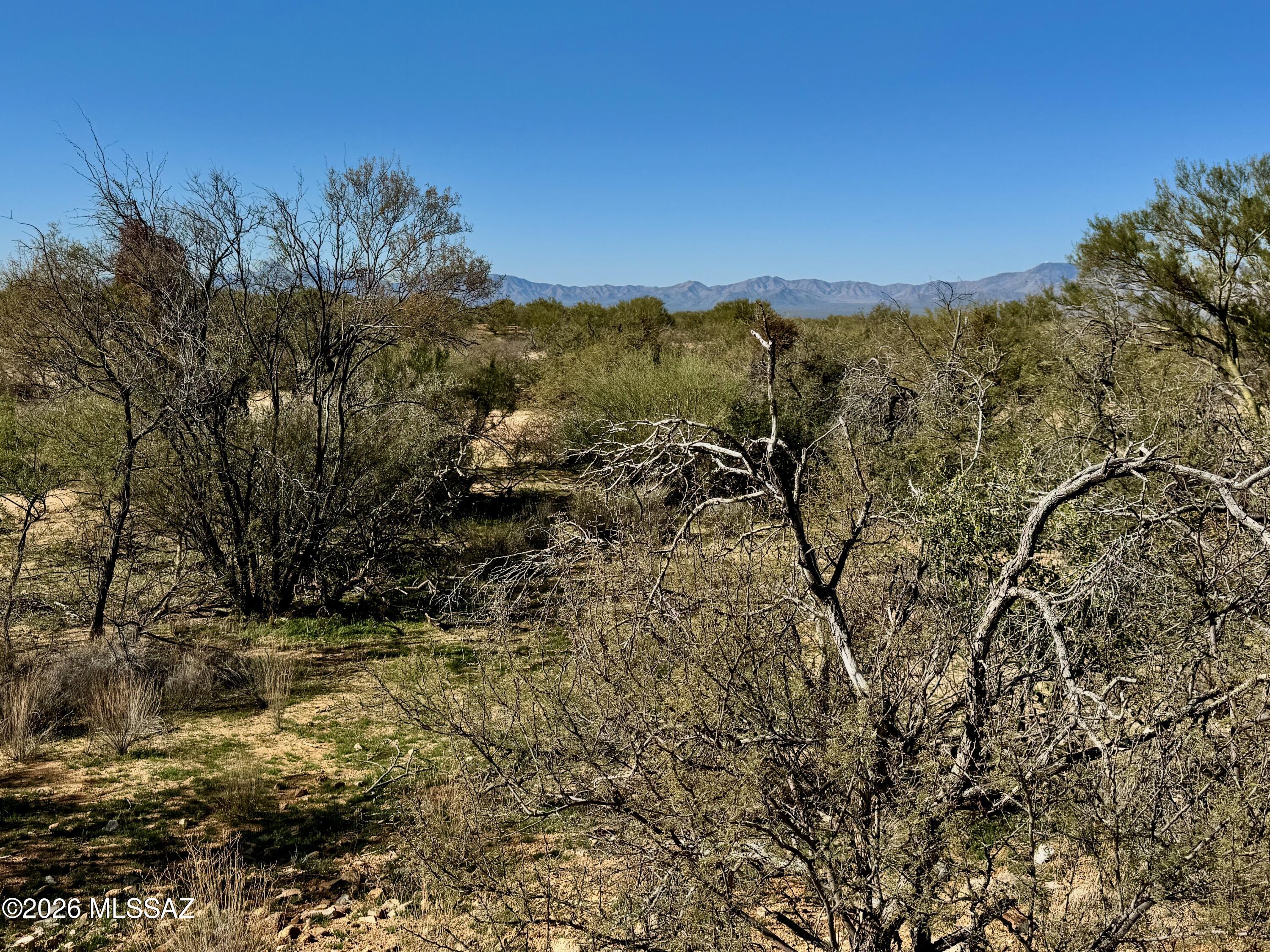 15783 West Phillips Road, Unit 151 Tucson, AZ 85736 - Photo 10 of 35