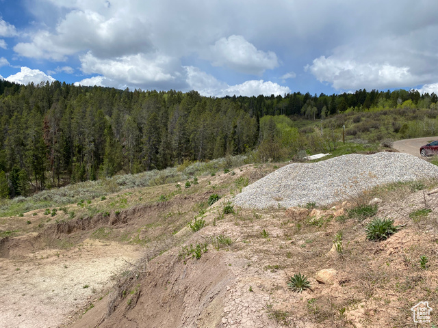 41 Grouse Loop Road, Unit 41 Freedom, WY 83120 - Photo 3 of 33 View of wooded area
