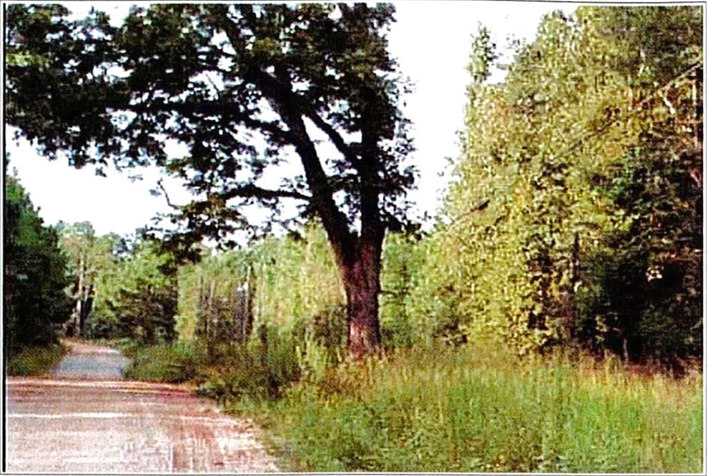 0 Felton Mcmichael Road Monticello, GA 31064 - Photo 3 of 9