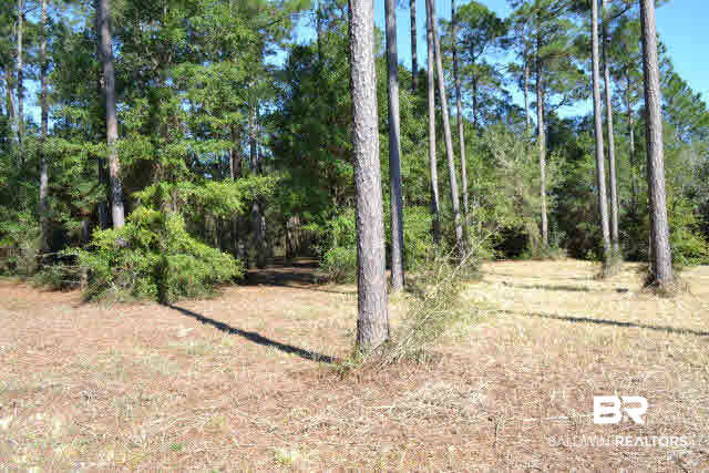 29409 Archie Road Elberta, AL 36530 - Photo 8 of 20 Oaks & Pine trees