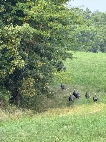 $240,000 | 16 Bobwhite Lane, Crocker, MO 65452