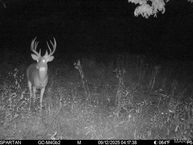 $240,000 | 16 Bobwhite Lane, Crocker, MO 65452