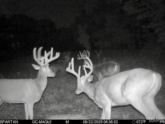 $240,000 | 16 Bobwhite Lane, Crocker, MO 65452