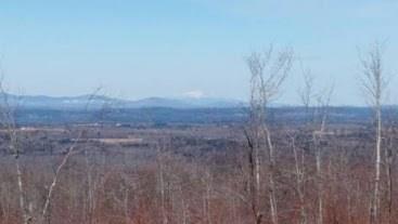 Lot 02 Off Patten Road Garland, ME 04939 - Photo 5 of 6 Photo