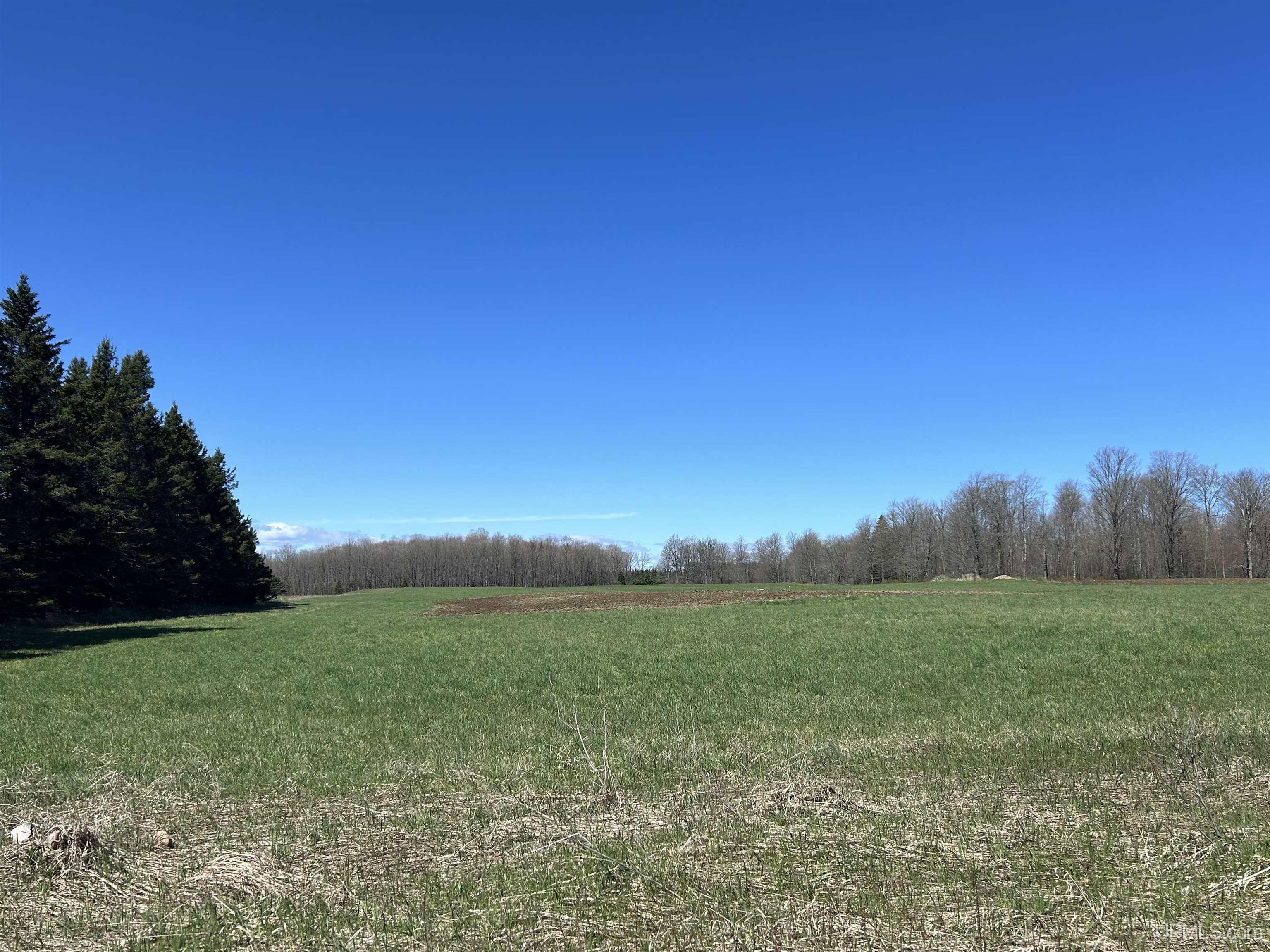 5423 Finn's Spur Road Chatham, MI 49816 - Photo 3 of 8 Gallery Image 3