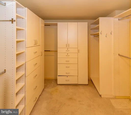 a view of closet area with empty racks