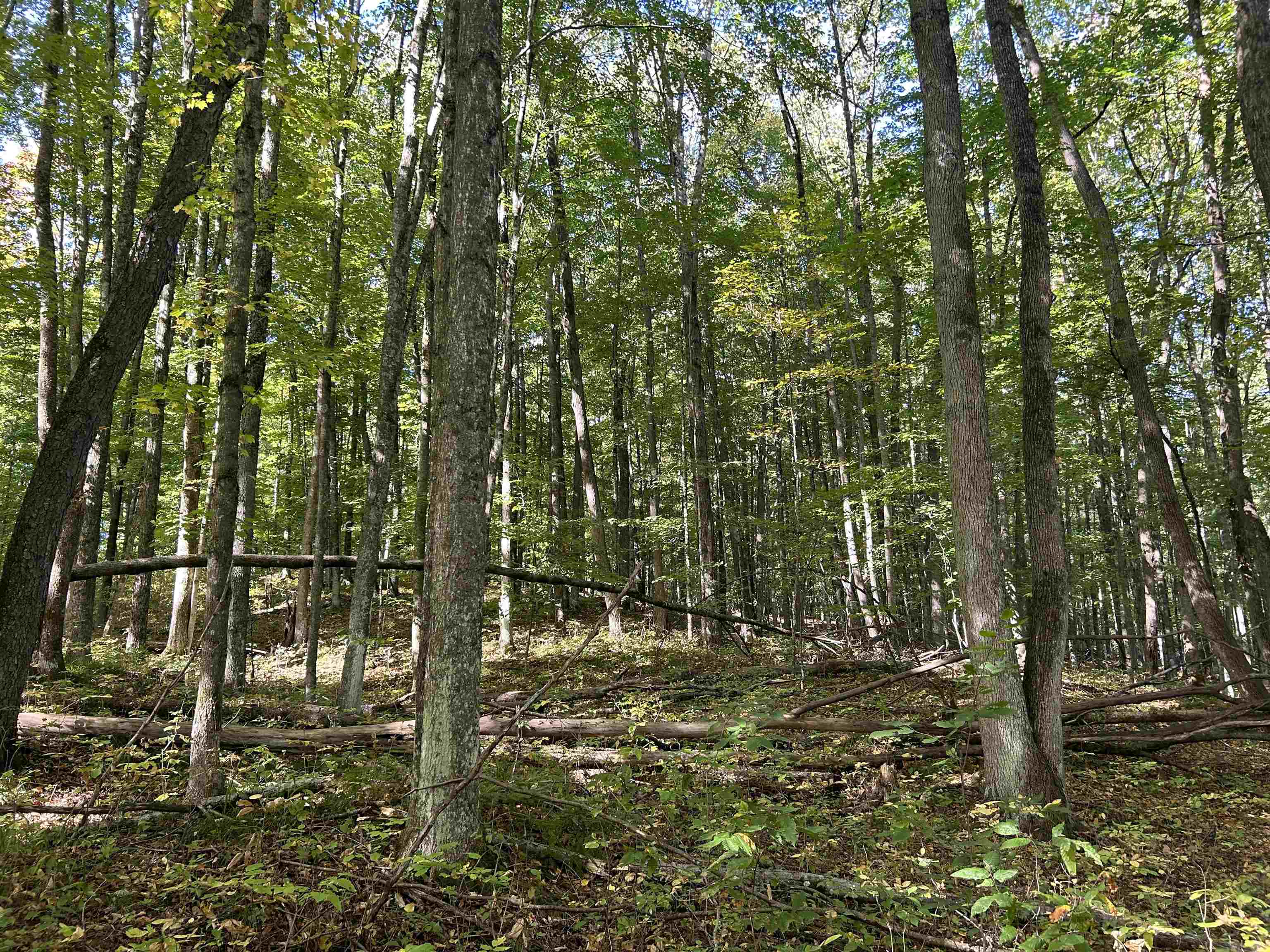 4060 South Graham Road Bellaire, MI 49615 - Photo 8 of 8 Gallery Image 8