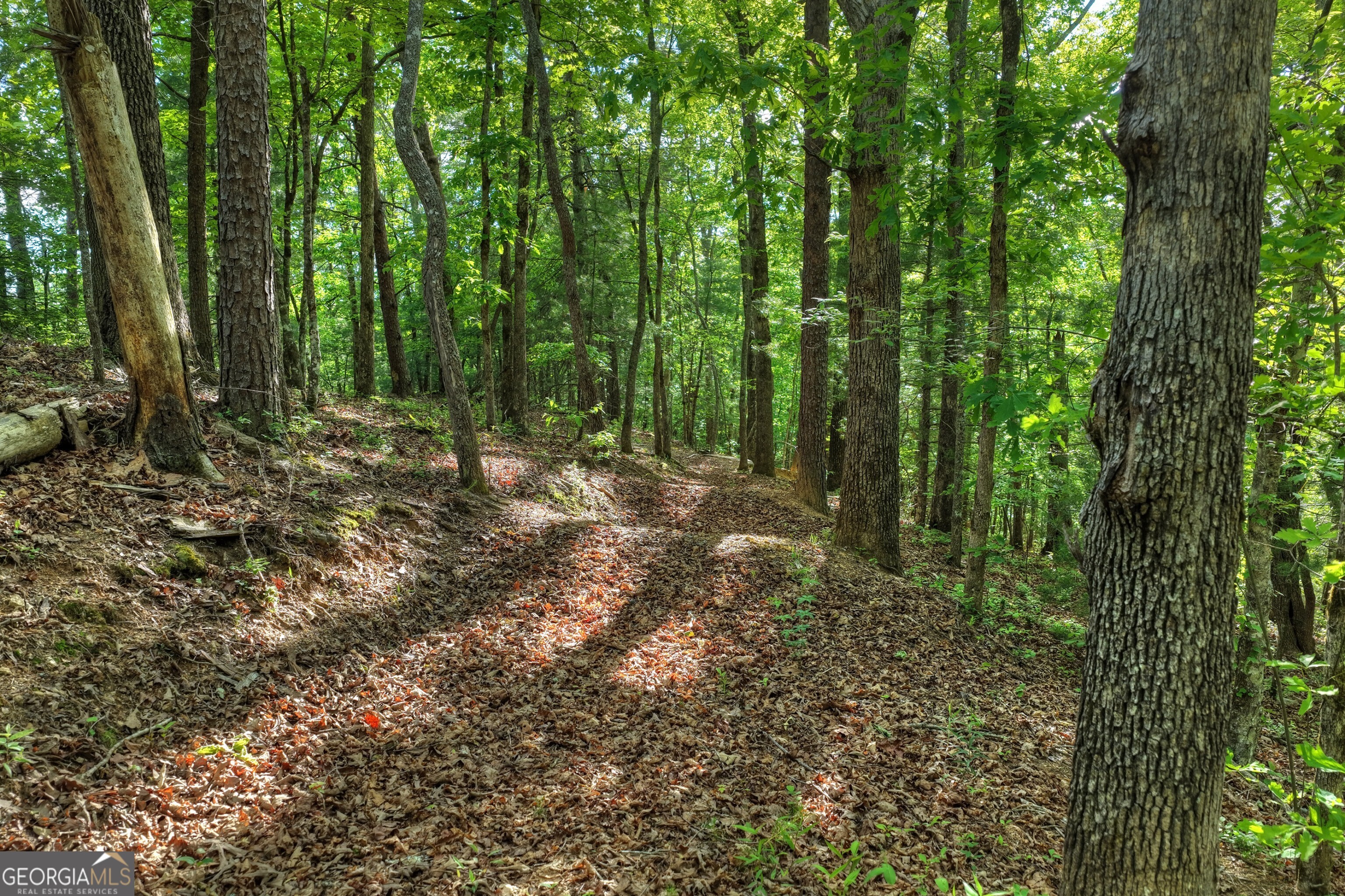 8-ac Mcnelley Road Morganton, GA 30560 - Photo 37 of 47