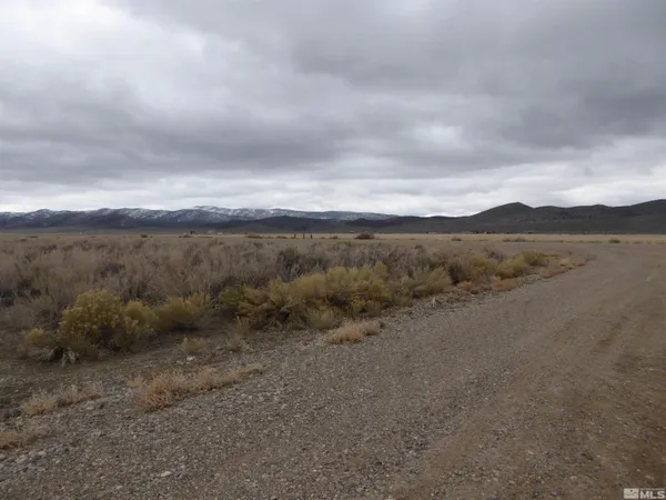 a view of a dry field with large trees