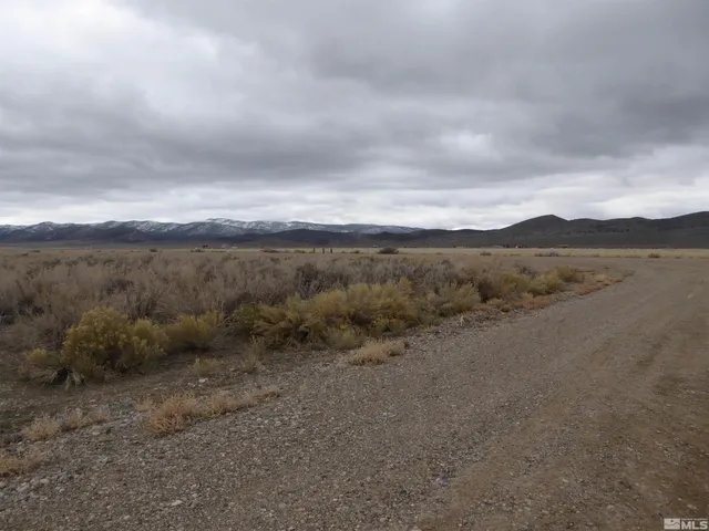 a view of a dry field with large trees