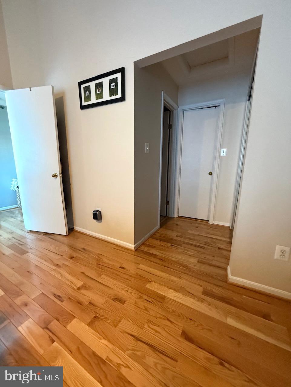1502 Casino Circle Silver Spring, MD 20906 - Photo 13 of 21 a view of a livingroom with wooden floor and closet