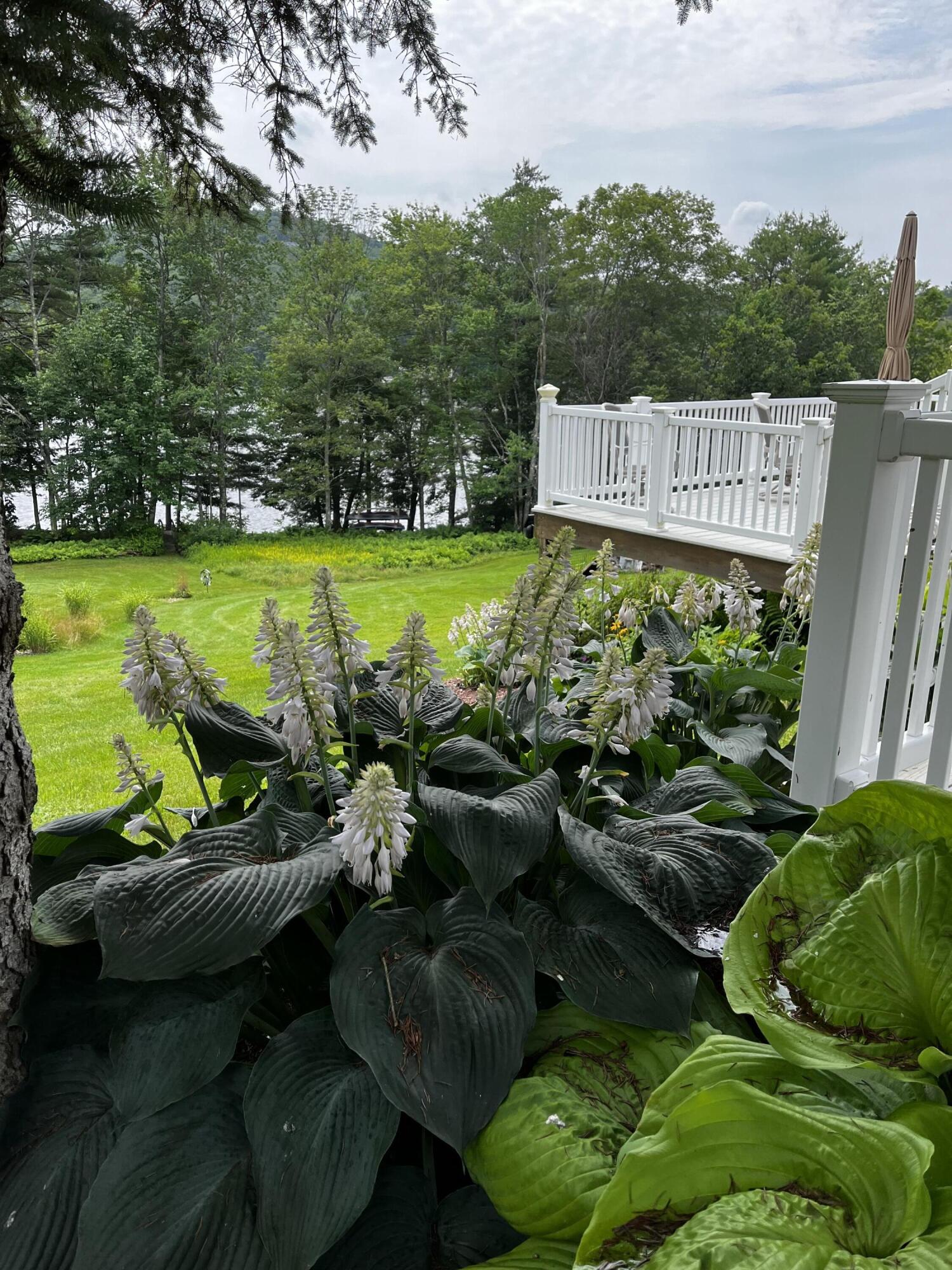 61 Watson Road Norway, ME 04268 - Photo 82 of 93 IMG_5286 (1)
