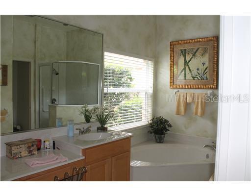 6560 Copper Ridge Trail University Park, FL 34201 - Photo 8 of 12 Master Bath
