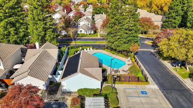 a view of a yard with plants and large trees