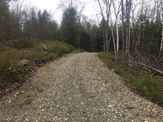 2-3 Maple Ridge Road Dedham, ME 04429 - Photo 5 of 6 IMG_5901