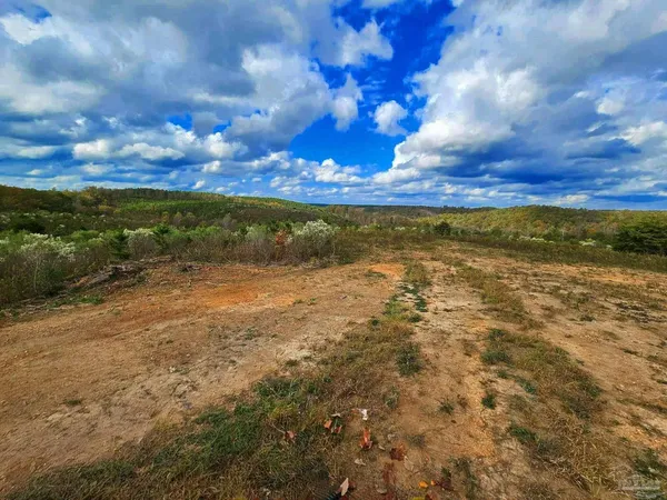 $225,000 | 0 County Road, Waterloo, AL 35677