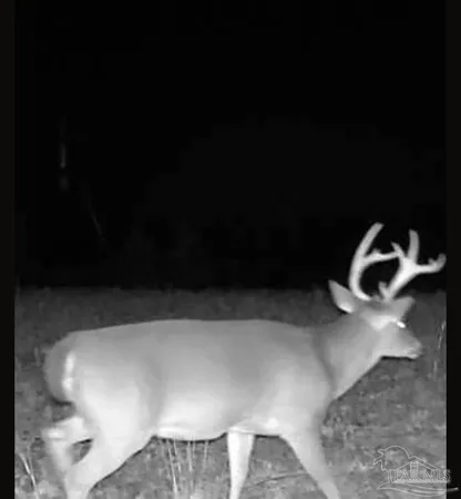 $225,000 | 0 County Road, Waterloo, AL 35677