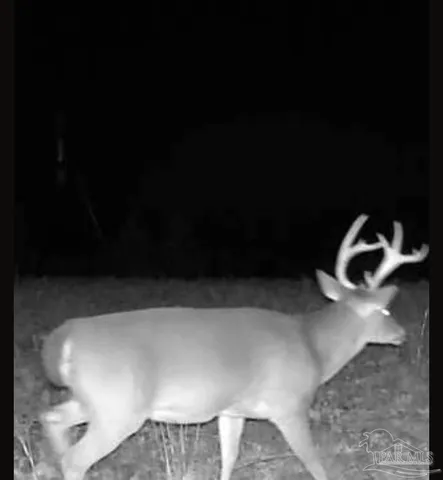 a close view of a chair in a room