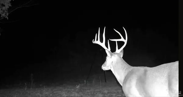 $225,000 | 0 County Road, Waterloo, AL 35677