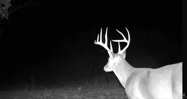 a picture of outdoor space