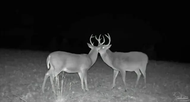 a view of a city with sunset view