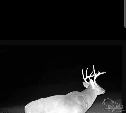 $225,000 | 0 County Road, Waterloo, AL 35677