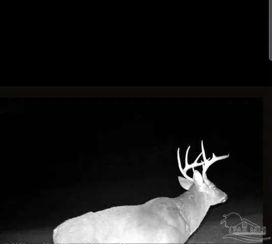 a view of an outdoor space with mountain view