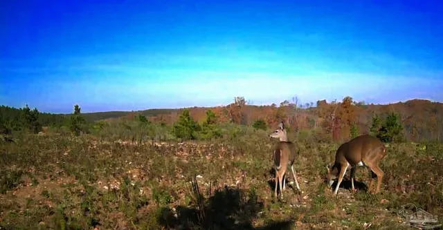 a view of a lake with mountain