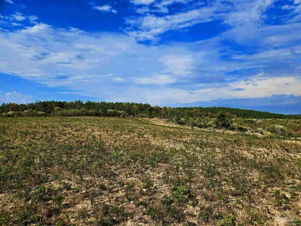 $225,000 | 0 County Road, Waterloo, AL 35677