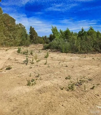 $225,000 | 0 County Road, Waterloo, AL 35677