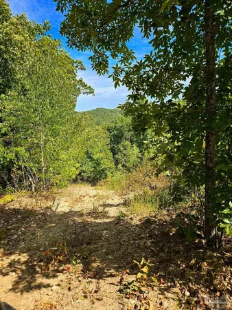 $225,000 | 0 County Road, Waterloo, AL 35677