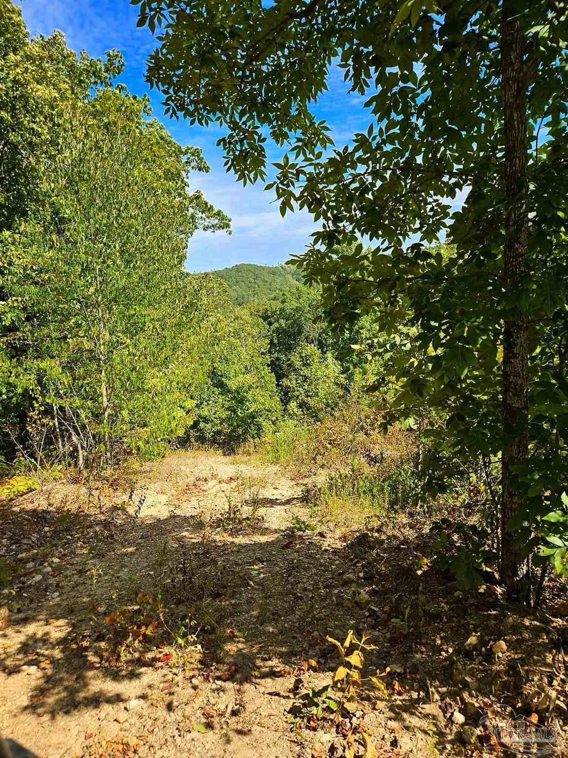 0 County Road Waterloo, AL 35677 - Photo 28 of 51