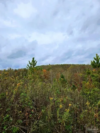 $225,000 | 0 County Road, Waterloo, AL 35677