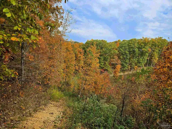 $225,000 | 0 County Road, Waterloo, AL 35677