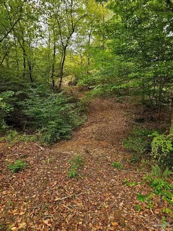 $225,000 | 0 County Road, Waterloo, AL 35677