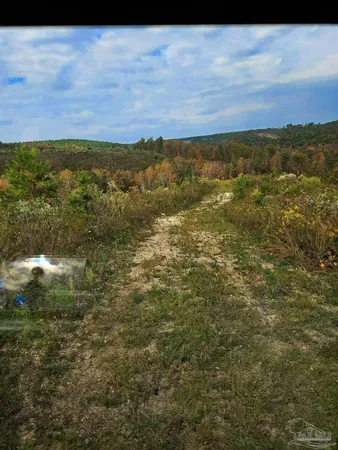 $225,000 | 0 County Road, Waterloo, AL 35677