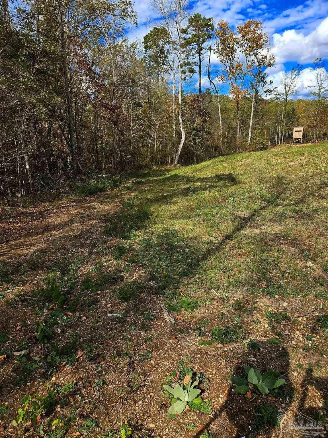 0 County Road Waterloo, AL 35677 - Photo 35 of 51
