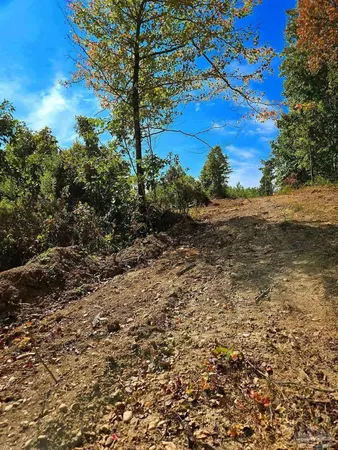 $225,000 | 0 County Road, Waterloo, AL 35677