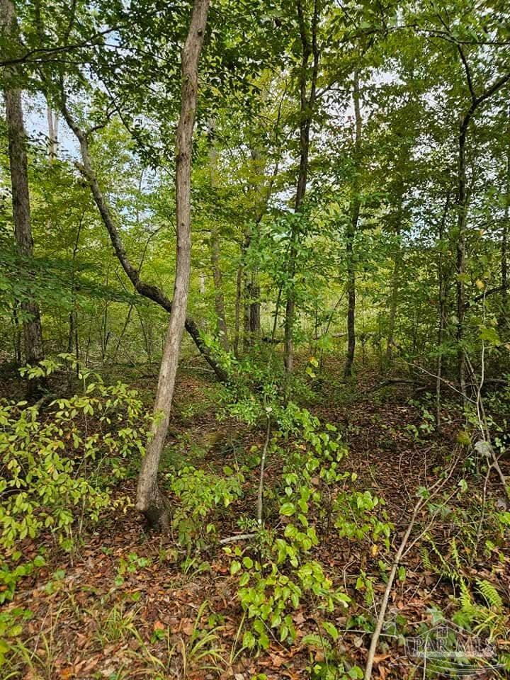 0 County Road Waterloo, AL 35677 - Photo 38 of 51