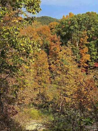 $225,000 | 0 County Road, Waterloo, AL 35677