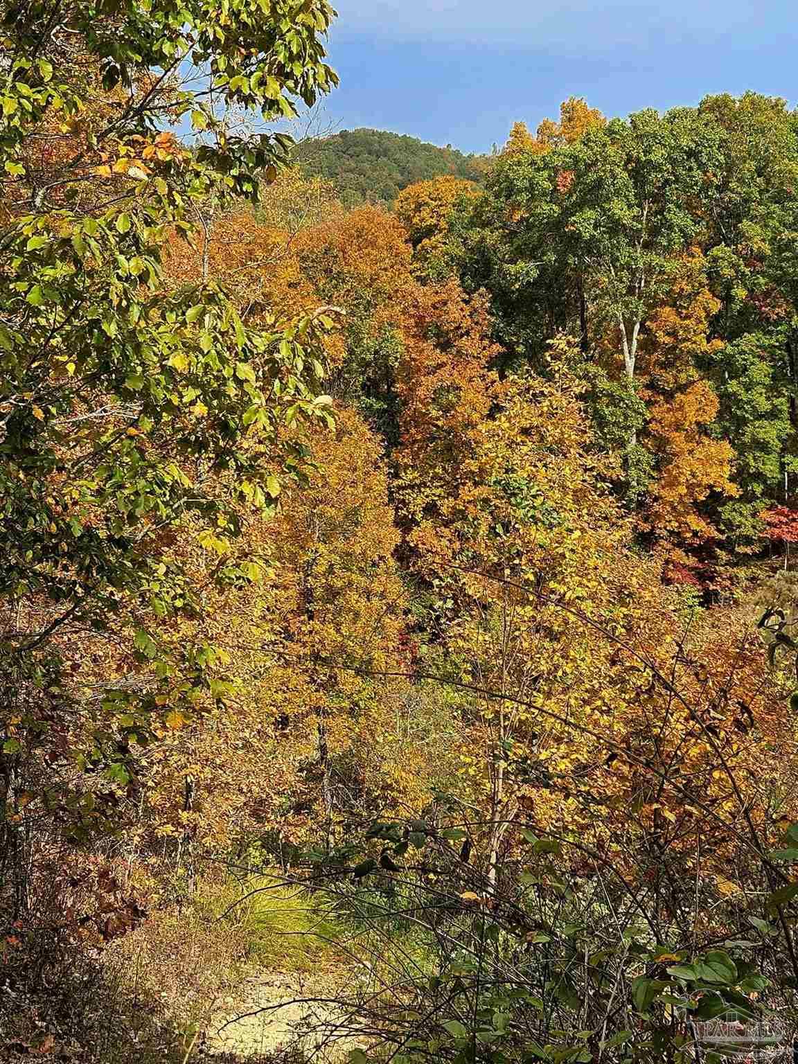 0 County Road Waterloo, AL 35677 - Photo 40 of 51