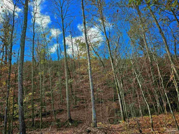 $225,000 | 0 County Road, Waterloo, AL 35677