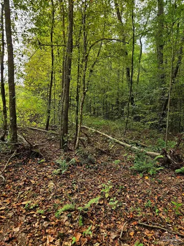 a view of an ocean beach and mountain