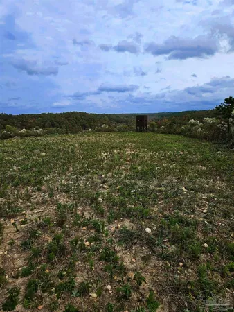 $225,000 | 0 County Road, Waterloo, AL 35677