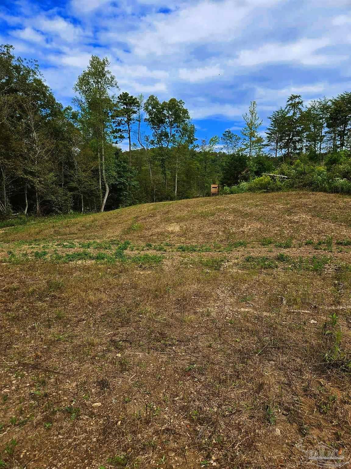 0 County Road Waterloo, AL 35677 - Photo 44 of 51