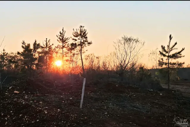 a view of swimming pool with a garden and plants