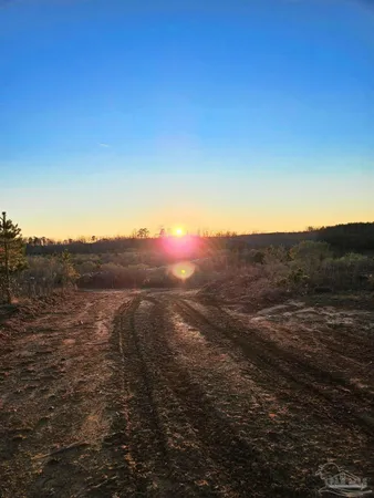 $225,000 | 0 County Road, Waterloo, AL 35677