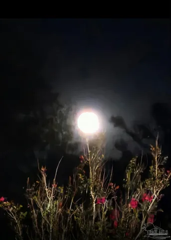 $225,000 | 0 County Road, Waterloo, AL 35677