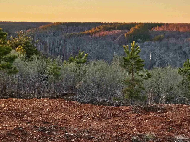 a view of a city and mountains